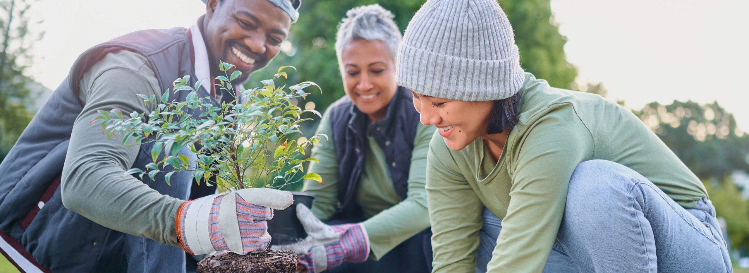 people gardening